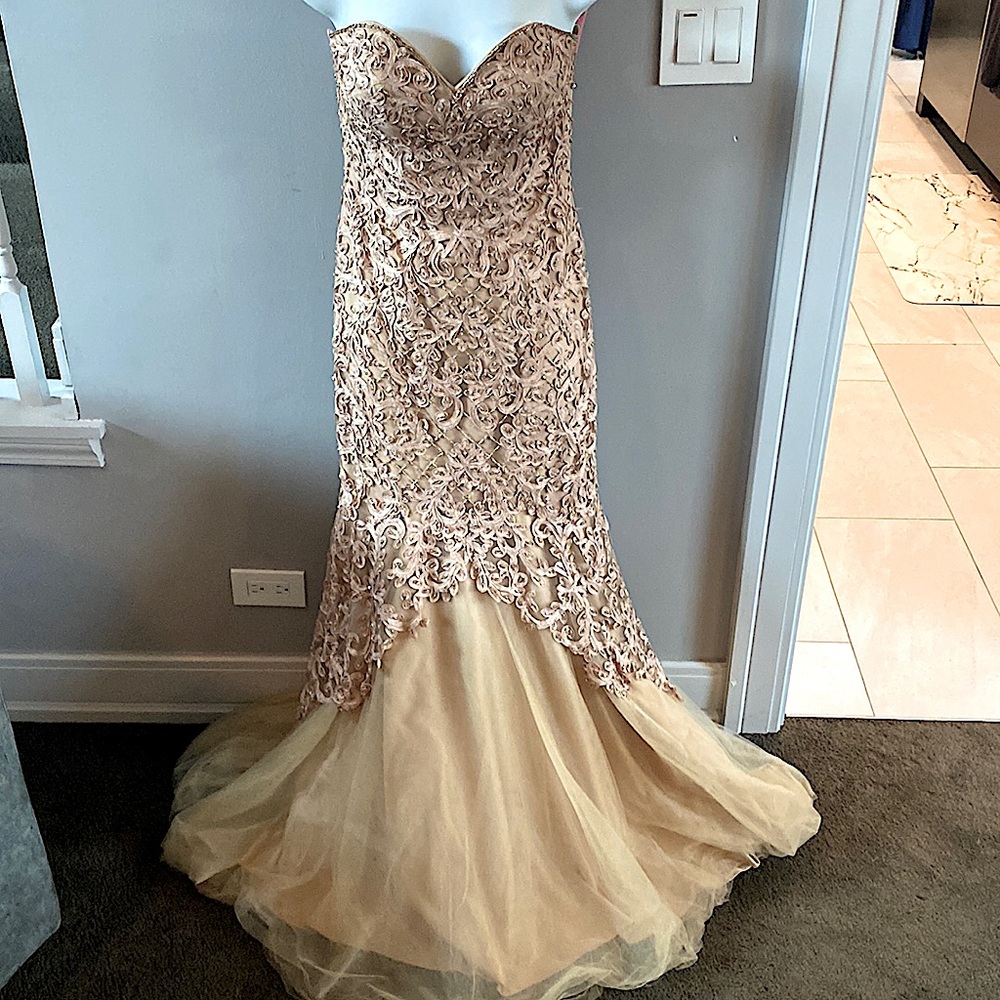 Long Mermaid Style Gown in Champagne/Blush Size Small